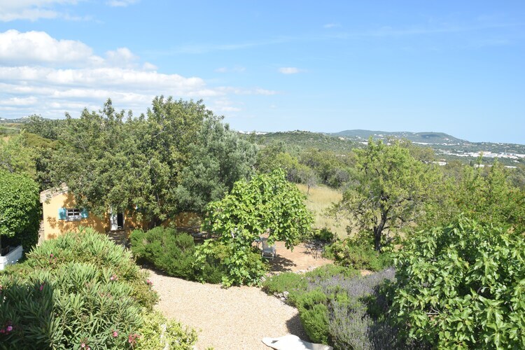 Quinta Amarela XXL – Maison 8 pers. avec piscine à Loulé - Photo 35