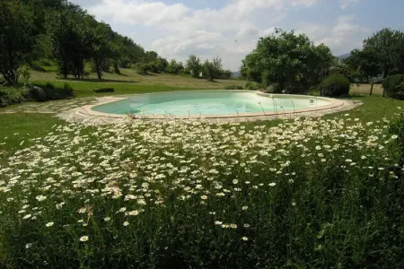 Nicoletta Sagrestia 1, Maison de vacances, San Godenzo - Photo 8