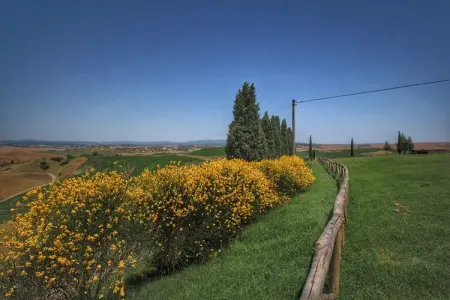 Gîte Arbia : ferme 8 pers, piscine et jardin en Toscane : photo 31