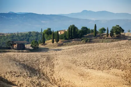 Gîte Arbia : ferme 8 pers, piscine et jardin en Toscane : photo 33