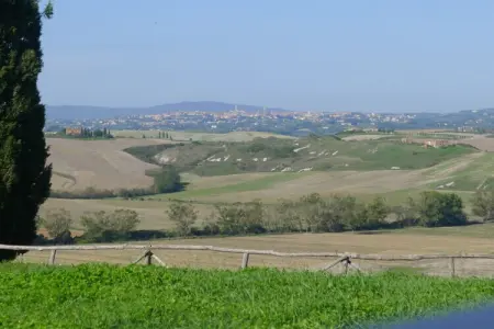 Gîte Arbia : ferme 8 pers, piscine et jardin en Toscane : photo 36