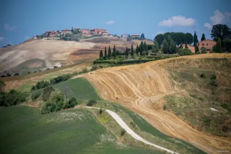 Gîte Arbia : ferme 8 pers, piscine et jardin en Toscane : photo 37