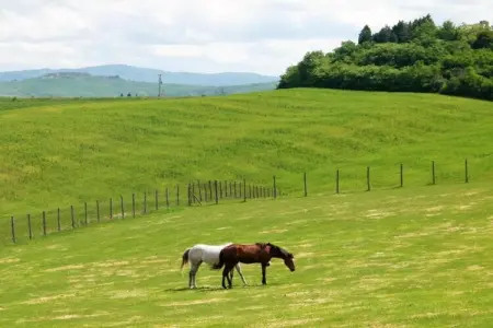 Gîte Arbia : ferme 8 pers, piscine et jardin en Toscane : photo 39