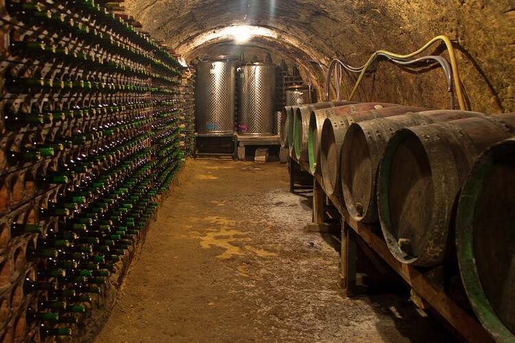 La Bodeguilla – Maison 18 pers. Pays basque - Photo 20
