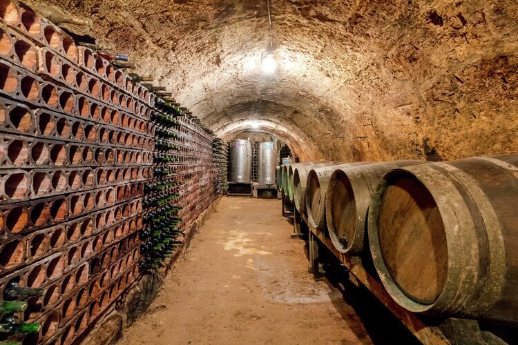 La Bodeguilla – Maison 18 pers. Pays basque - Photo 27