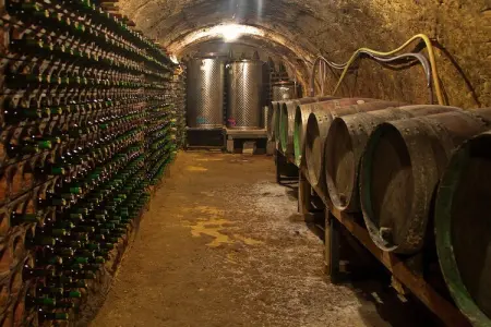 La Bodeguilla – Maison 18 pers. Pays basque : photo 20