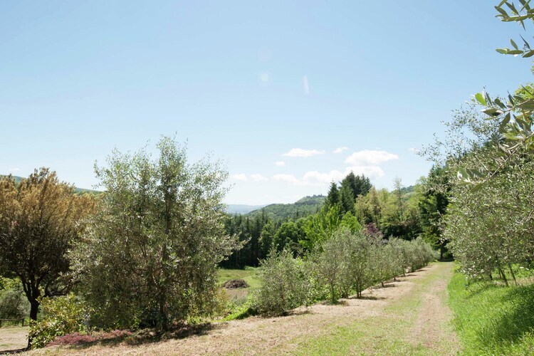 Villa Stia – 6 chambres, piscine chauffée et vue sur la vallée - Photo 12