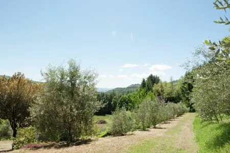 Villa Stia – 6 chambres, piscine chauffée et vue sur la vallée : photo 12