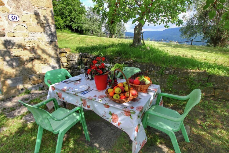 Casina Papi, gîte en Toscane entre oliviers et Vallée de Ruffina - Photo 6