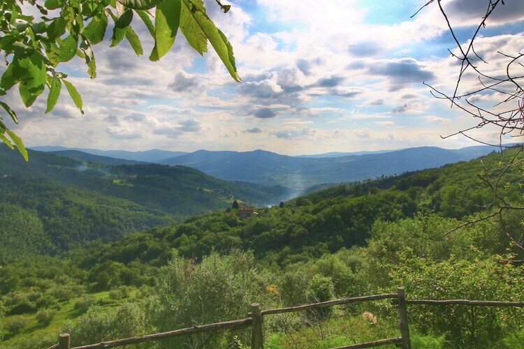 Casina Papi, gîte en Toscane entre oliviers et Vallée de Ruffina - Photo 12