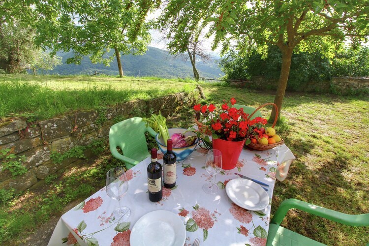 Casina Papi, gîte en Toscane entre oliviers et Vallée de Ruffina - Photo 29