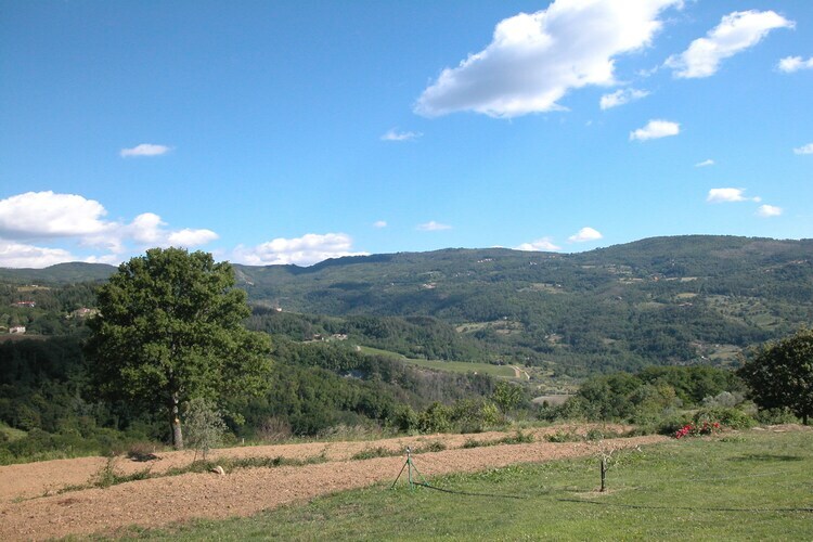 Casina Papi, gîte en Toscane entre oliviers et Vallée de Ruffina - Photo 34