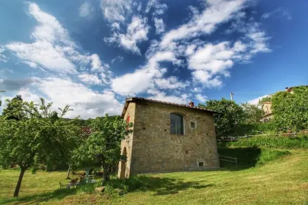 Casina Papi, gîte en Toscane entre oliviers et Vallée de Ruffina : photo 7