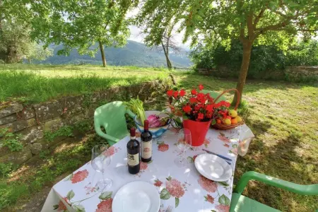 Casina Papi, gîte en Toscane entre oliviers et Vallée de Ruffina : photo 29