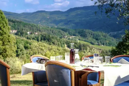 Casina Papi, gîte en Toscane entre oliviers et Vallée de Ruffina : photo 33