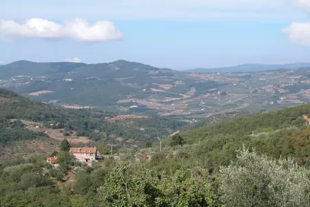 Casina Papi, gîte en Toscane entre oliviers et Vallée de Ruffina : photo 35