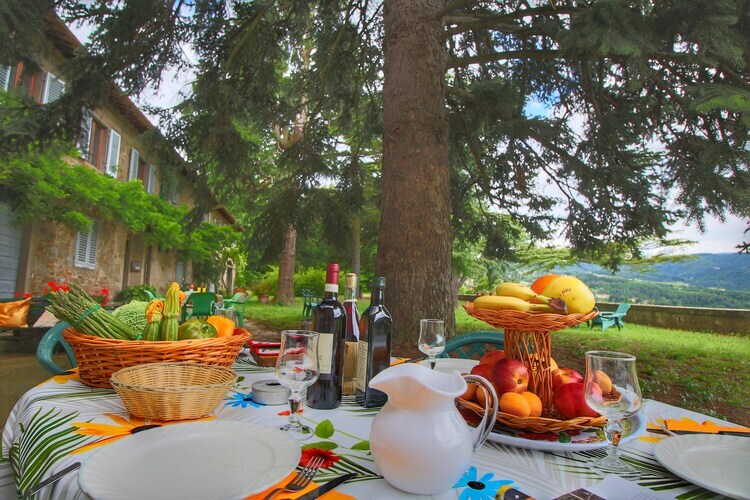 Casa Sequoia, gîte en Toscane pour 6 entre oliviers - Photo 6