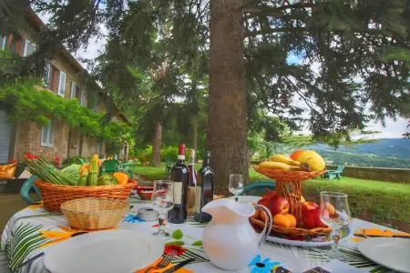 Casa Sequoia, gîte en Toscane pour 6 entre oliviers : photo 6