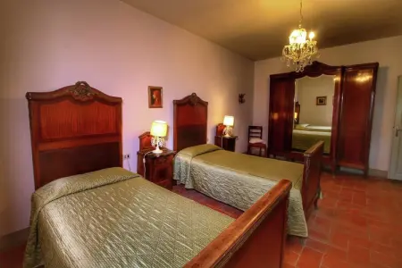 Casa Sequoia, gîte en Toscane pour 6 entre oliviers : photo 18
