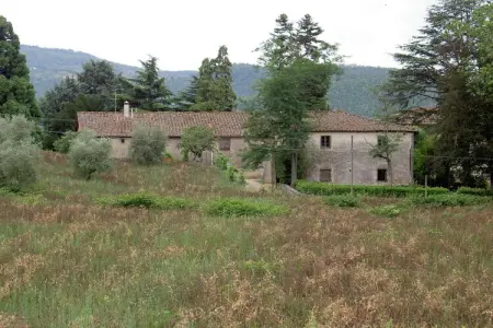 Casa Sequoia, gîte en Toscane pour 6 entre oliviers : photo 23