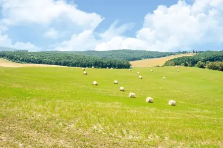Il Bosco, Appartement attrayant à Collesalvetti avec jardin - Photo 12