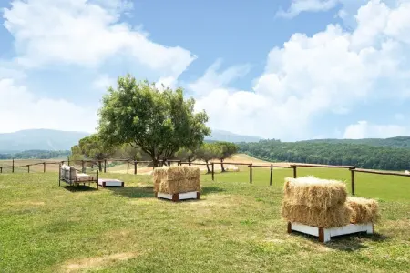 Il Bosco, Appartement attrayant à Collesalvetti avec jardin - Photo 14