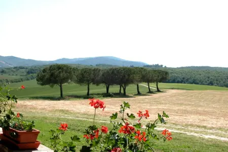 Il Chicco - Gîte 2 pers. en ferme toscane avec piscine : photo 24