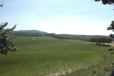Il Chicco - Gîte 2 pers. en ferme toscane avec piscine : photo 27