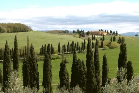 Il Chicco - Gîte 2 pers. en ferme toscane avec piscine : photo 33