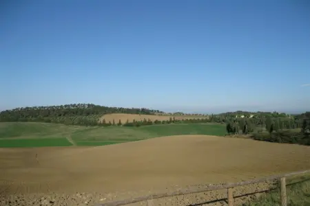 Il Chicco - Gîte 2 pers. en ferme toscane avec piscine : photo 34
