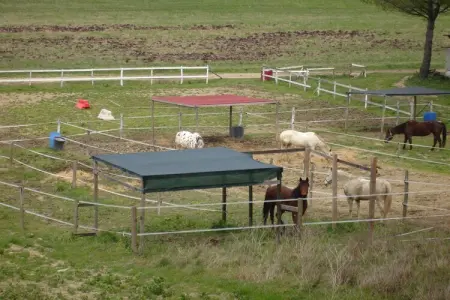 Il Chicco - Gîte 2 pers. en ferme toscane avec piscine : photo 37
