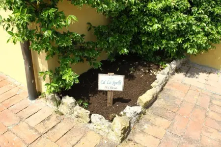Il Chicco - Gîte 2 pers. en ferme toscane avec piscine : photo 39