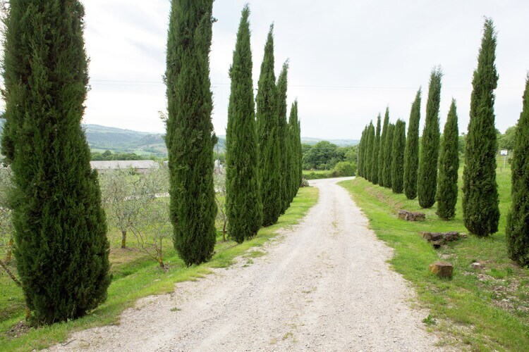 Casa Tiglio, ferme toscane avec piscine à Castiglione d'Orcia - Photo 40
