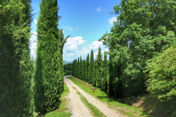 Casa Sulla - Ferme toscane avec piscine et jardin - Photo 39