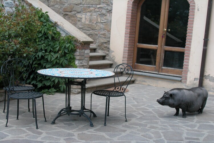 La Pergola, gîte pour 2 avec piscine en Ombrie - Photo 38
