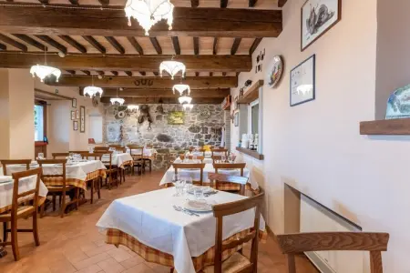 Casa Olivo, gîte dans une grange rénovée à Caprese Michelangelo : photo 26