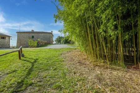 Casa Olivo, gîte dans une grange rénovée à Caprese Michelangelo : photo 29
