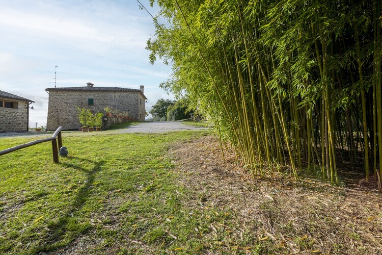 Casa Granaio, gîte en ferme toscane avec piscine - Photo 23