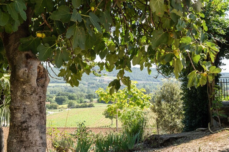 Stalla, gîte à la campagne avec piscine - Photo 37