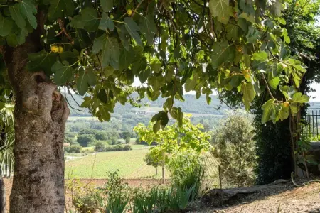 Stalla, gîte à la campagne avec piscine : photo 37