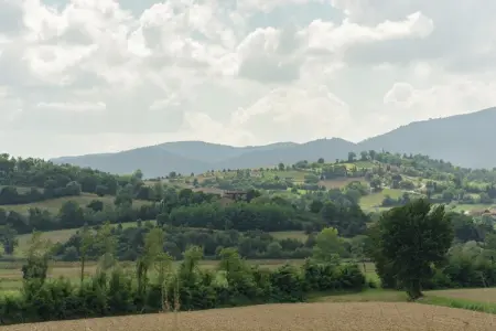 Fienile : maison campagne avec piscine près de Città di Castello : photo 39