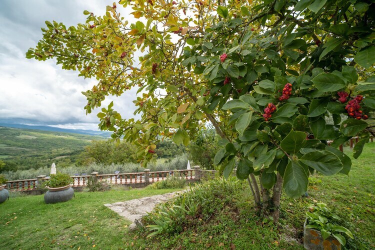 Casa Cipresso, gîte 2 pers. dans une tour du XVe siècle - Photo 22