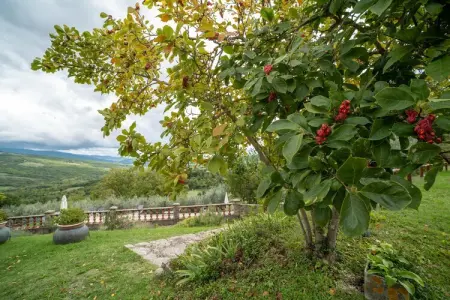 Casa Cipresso, gîte 2 pers. dans une tour du XVe siècle : photo 22