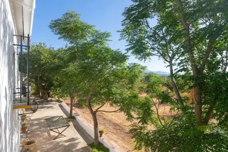 Casería San José – Ferme du XIXe siècle, 14 pers. : photo 50