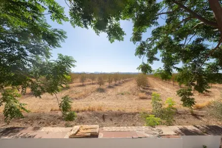 Casería San José – Ferme du XIXe siècle, 14 pers. : photo 58