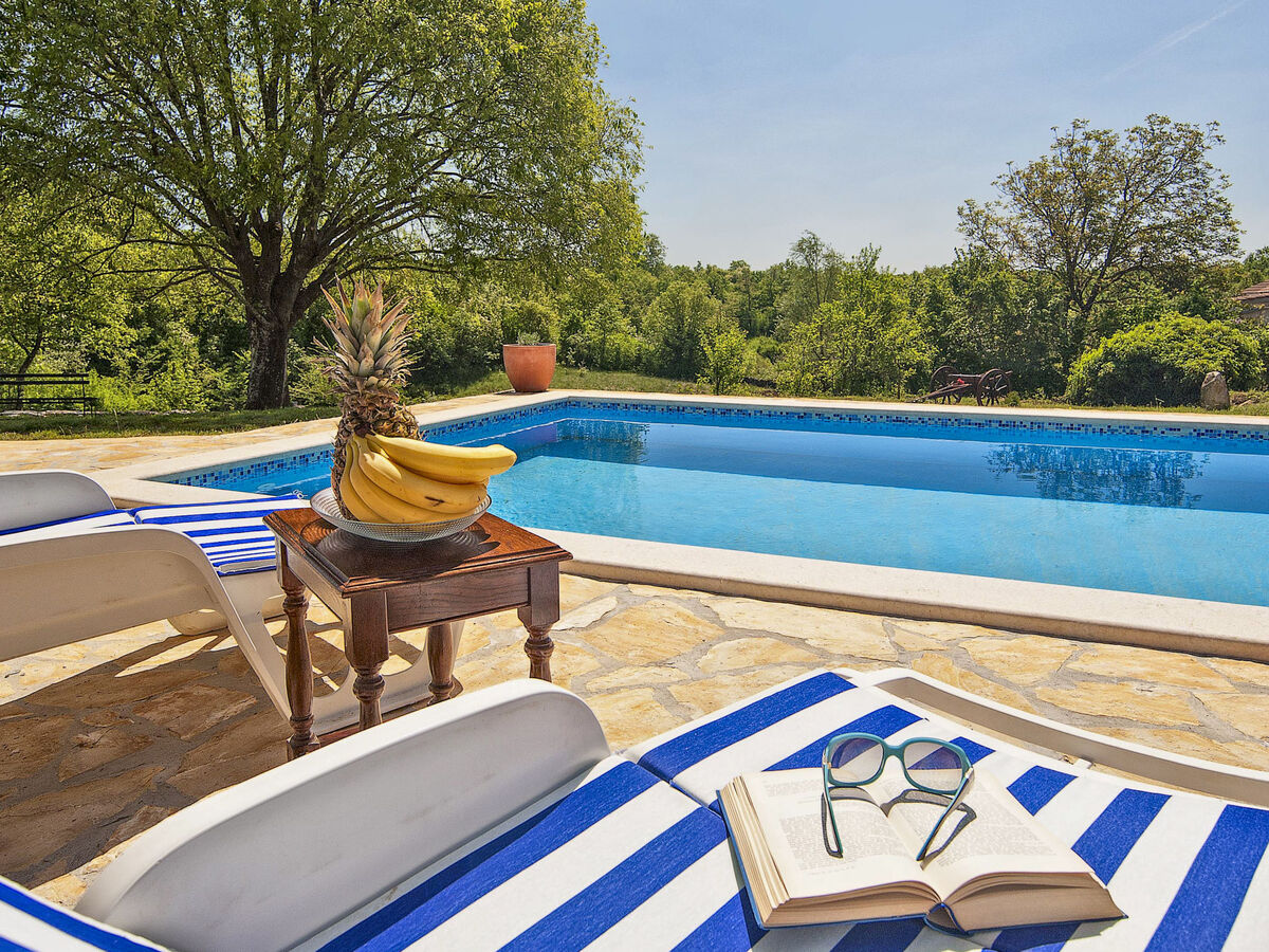 Mila, maison 8 pers. avec piscine privée à Žminj - Photo 5