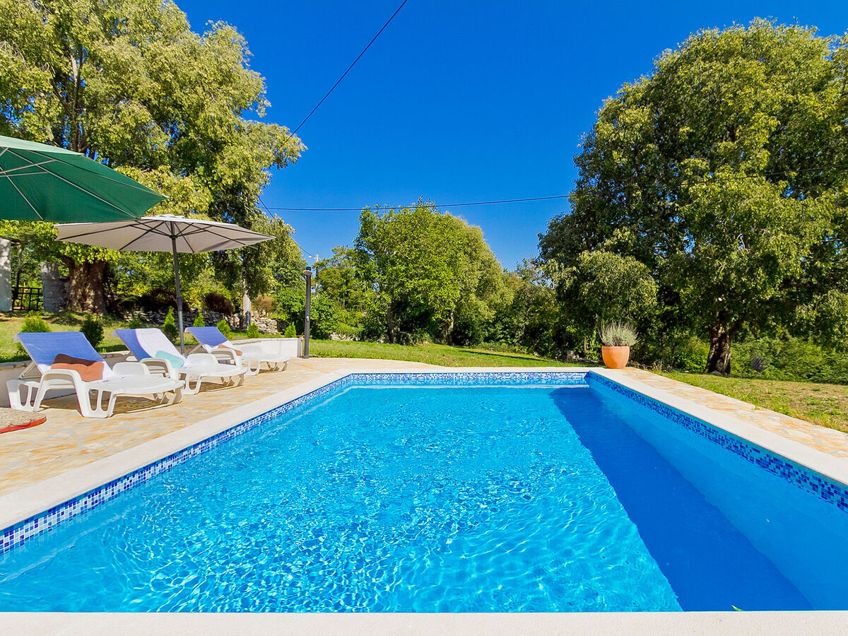 Mila, maison 8 pers. avec piscine privée à Žminj - Photo 9