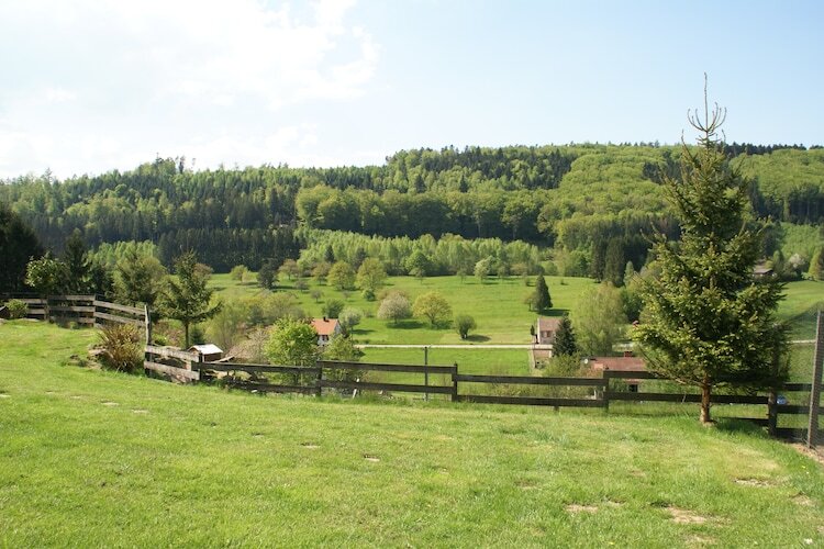 Mon Repos, maison forestière à Walscheid - Photo 19
