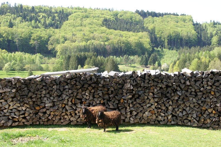 Mon Repos, maison forestière à Walscheid - Photo 30