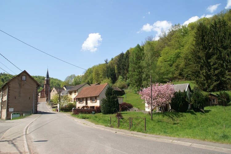 Mon Repos, maison forestière à Walscheid - Photo 36